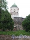 Замковый остров (Выборг). Выборгский замок. Вид на Южную стену и Башню Олафа. фото июнь 2016 г.