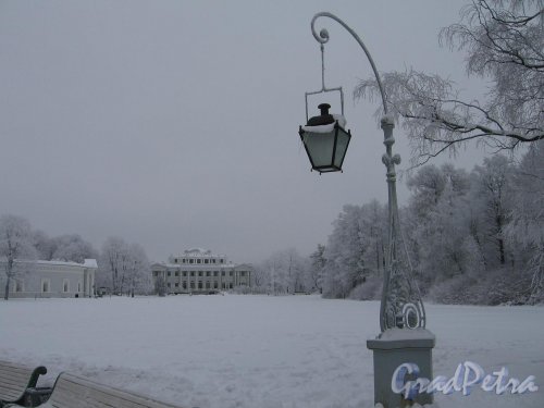 Елагин остров, д. 4. Елагиноостровский дворец и Масляный луг зимой. Фото январь 2010 г.