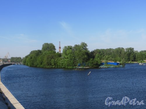 Вид на Малый Резвый остров с набережной реки Екатерингофки. Фото 3 июля 2015 года.