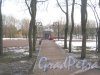 Памятник «Не забывайте нас!» в части парка Красное Село между ул. Равенства и пер. Щуппа. Фото 24 февраля 2014 г.