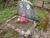 г. Пушкин, Кузьминское кладбище. Могила А.П. и Д.А Капинос. Фото 5 мая 2014 г.
