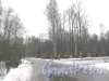 Богословское кладбище. Петрокрепостная дорожка. Фото февраль 2014 г.