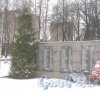 Лен. обл., Выборгский р-н, г. Приморск. Братское захоронение. Фото 7 декабря 2013 г.