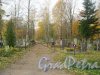 Посёлок Стрельна, Стрельнинское кладбище. Вид с Сосновой аллеи. Фото 16 октября 2014 г.