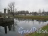 Пискарёвское мемориальное кладбище. Пруд около перголы и Аллеи Памяти. Фото 12 ноября 2014 г.