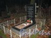 Захоронение Варгафтинга-Кораблёвых на Волковском Лютеранском кладбище. Фото 11 ноября 2014 г.