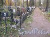Пос. Стрельна, 7-й участок Стрельнинского кладбища. Фото 16 октября 2014 г.