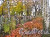 Пос. Стрельна, Стрельнинское кладбище. Фрагмент. Фото 16 октября 2014 г.