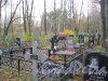 Пос. Стрельна, Стрельнинское кладбище. Захоронение Е.И. Потиной на Стрельнинском кладбище. Фото 16 октября 2014 г.