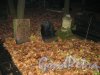 Остатки надгробных памятников на Волковском (Лютеранском) кладбище. Фото 11 ноября 2014 г.