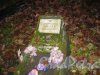 Могила лейтенанта Сатыр Л.И. на Волковском (Лютеранском) кладбище, погибшего 13 мая 1945 года. Фото 11 ноября 2014 г.
