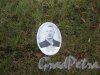Мемориальная табличка Г.П. Новосёлову (1916-1942) на Пискаревском мемориальном кладбище. Фото 12 ноября 2014 г.