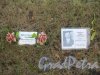 Мемориальные таблички М.П. Друзгальской (1975-1942) и Ф.Г. Марунину (1890-1942) на Пискаревском мемориальном кладбище. Фото 12 ноября 2014 г.