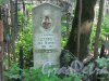 Красненькое кладбище. Захоронение И.П. и А.П. Евстифеевых. Фото 6 августа 2015 г.