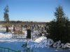 Кладбище «Пижма». Фрагмент. Фото 10 февраля 2017 г.