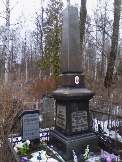 Богословское кладбище. Захоронение Гольдштейн. Фото февраль 2014 г.