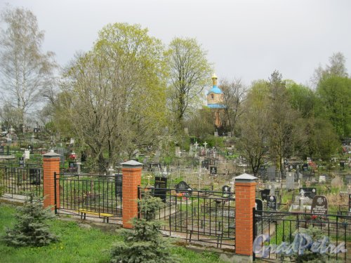 г. Пушкин, Кузьминское кладбище. Вид с Кузьминского моста. Фото 5 мая 2014 г.