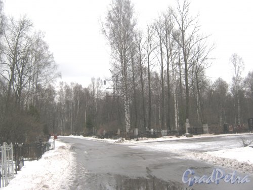 Богословское кладбище. Петрокрепостная дорожка. Фото февраль 2014 г.