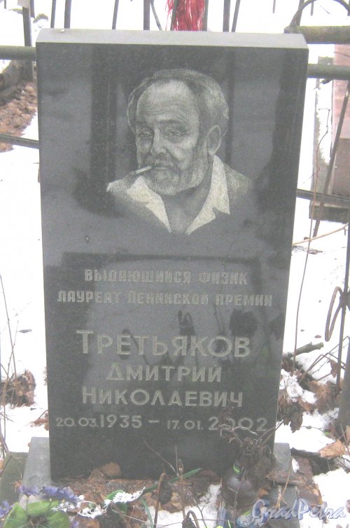 Богословское кладбище. Могила физика Д.Н. Третьякова (1935-2002). Фото февраль 2014 г.