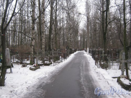 Богословское кладбище. Одна из аллей. Фото февраль 2014 г.