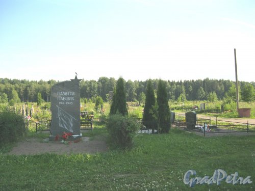 Лен. обл., Гатчинский р-н, Гатчинское кладбище. Фрагмент. Фото 9 июля 2014 г.