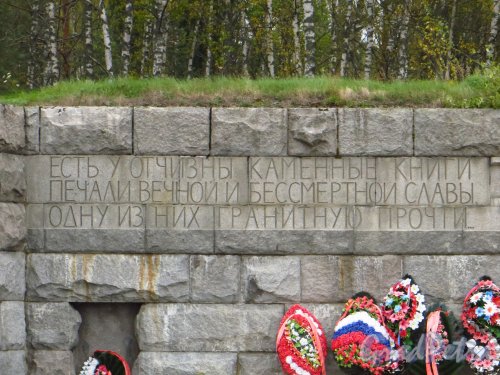 Ленинградская область, пересечение автомобильных дорог А-124 и А-127, воинское захоронение мемориал «Память». Правая часть мемориальной стены. Фото 26 сентября 2014 года.