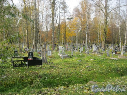 Посёлок Стрельна, Стрельнинское кладбище. Вид с Сосновой аллеи. Фото 16 октября 2014 г.