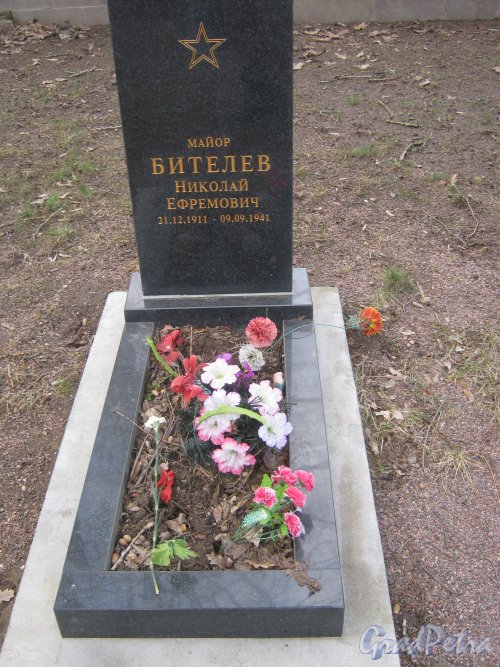 Захоронение Н.Е. Бителева на Мартышкинском братском захоронение в городе Ломоносов. Фото 7 марта 2014 г.