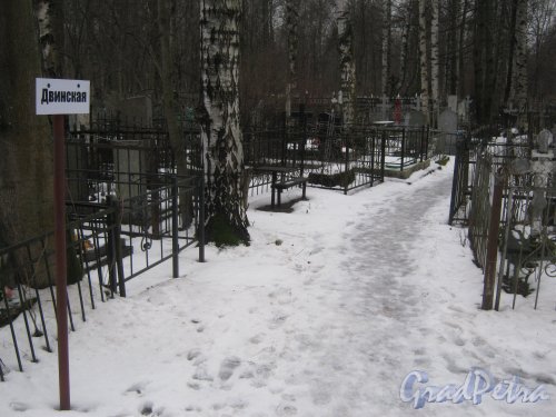 Богословское кладбище. Двинская аллея. Фото февраль 2014 г.