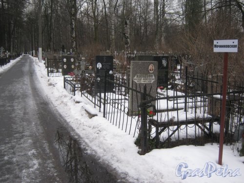 Богословское кладбище. Мечниковская аллея. Фото февраль 2014 г.