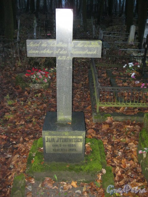 Захоронение J.Jtzkewitsch на Волковском Лютеранском кладбище. Фото 11 ноября 2014 г.