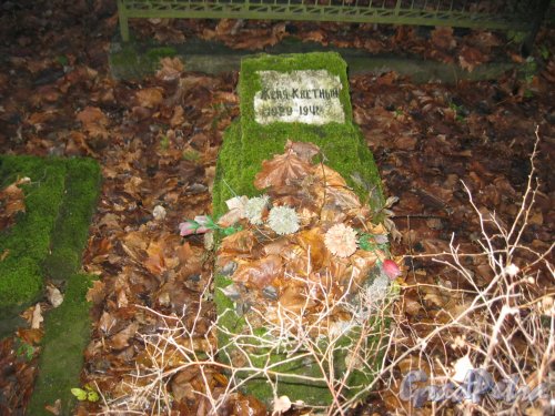 Захоронение Жени Коетного на Волковском Лютеранском кладбище. Фото 11 ноября 2014 г.