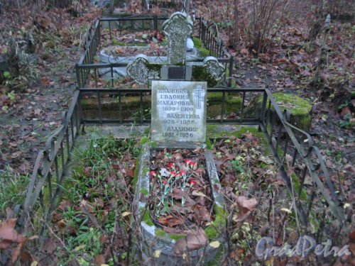 Захоронение семьи Ивановых на Волковском Лютеранском кладбище. Фото 11 ноября 2014 г.