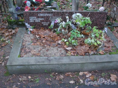 Захоронение семьи Криворучко на Волковском Лютеранском кладбище. Фото 11 ноября 2014 г.