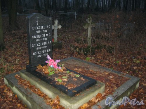 Захоронение Алексеевых-Смецкой на Волковском Лютеранском кладбище. Фото 11 ноября 2014 г.
