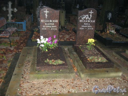 Захоронение Веселовских на Волковском Лютеранском кладбище. Фото 11 ноября 2014 г.