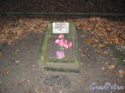 Захоронение А. Трошкова на Волковском Лютеранском кладбище. Фото 11 ноября 2014 г.