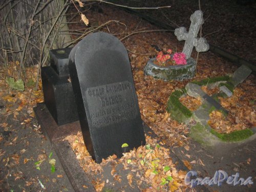 Захоронение Ф.А. Быкова на Волковском Лютеранском кладбище. Фото 11 ноября 2014 г.