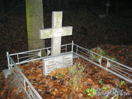 Захоронение Яковлевых на Волковском Лютеранском кладбище. Фото 11 ноября 2014 г.