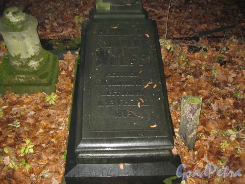 Захоронение Wolff на Волковском Лютеранском кладбище. Фото 11 ноября 2014 г.