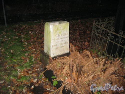 Захоронение Кокоревых на Волковском Лютеранском кладбище. Фото 11 ноября 2014 г.