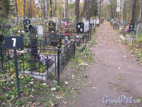Пос. Стрельна, 7-й участок Стрельнинского кладбища. Фото 16 октября 2014 г.