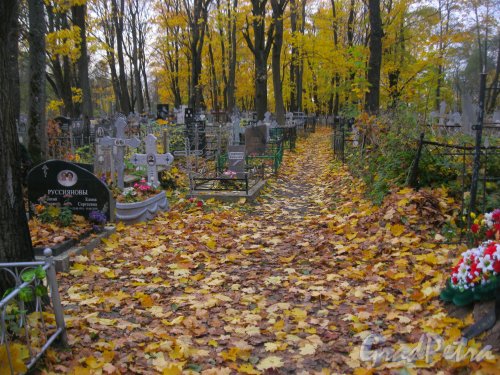 Пос. Стрельна, Стрельнинское кладбище. Аллея. Фото 16 октября 2014 г.