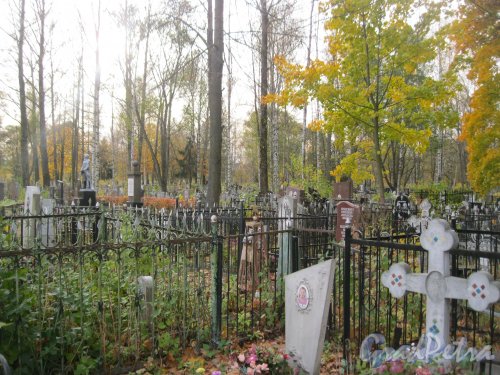 Пос. Стрельна, Стрельнинское кладбище. Фрагмент. Фото 16 октября 2014 г.