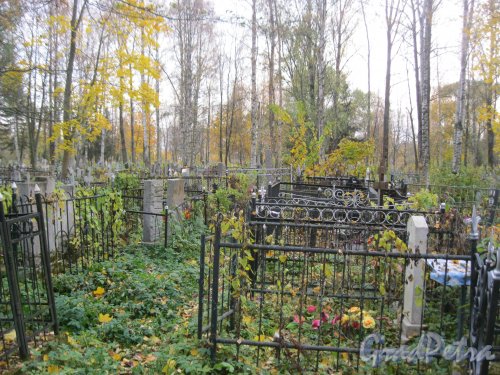 Пос. Стрельна, Стрельнинское кладбище. Фрагмент территории. Фото 16 октября 2014 г.