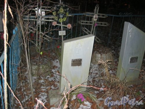 Захоронение Белошук на Новом кладбище в городе Гатчина. Фото 11 декабря 2014 г.