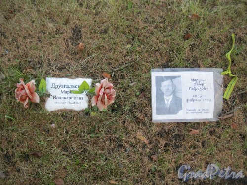 Мемориальные таблички М.П. Друзгальской (1975-1942) и Ф.Г. Марунину (1890-1942) на Пискаревском мемориальном кладбище. Фото 12 ноября 2014 г.