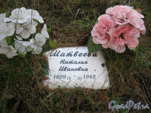 Пискарёвское мемориальное кладбище. Братское захоронение 1942 года. Одно из установленных имён погибшего. Фото 12 ноября 2014 г.