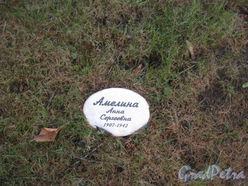Мемориальная табличка А.С. Амелиной на Пискарёвском мемориальном кладбище. Фото 12 ноября 2014 г.