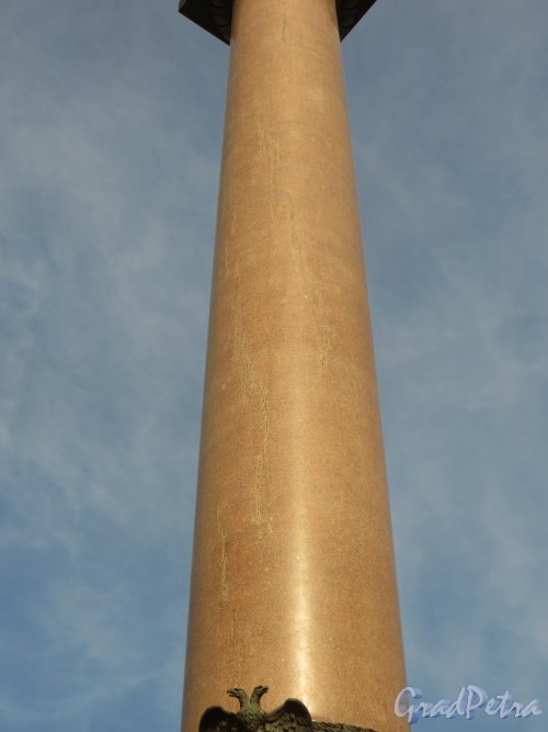 Гранитная колонная «Александрийского столпа» с западной стороны. Фото 18 марта 2015 года.